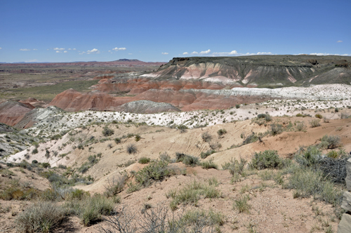 The Petrified Desert as seen from Whipple Point